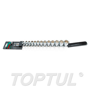 13PCS 3/8" DR. 12PT Socket Rail Set - SAE