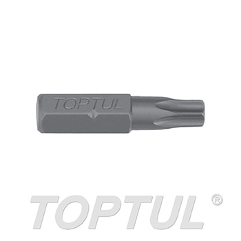 1/4" Hex Shank Star Tamperproof Insert Bits