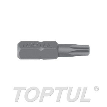 1/4" Hex Shank Star Insert Bits