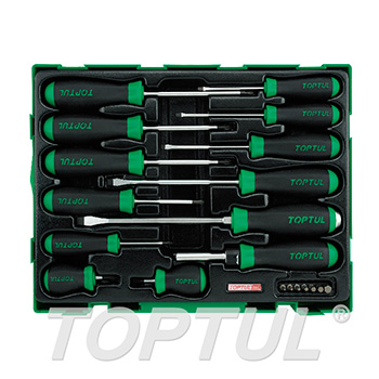 20PCS - Professional Screwdriver & Bit Set